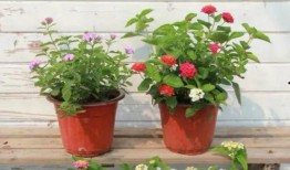 海哥最新爆料新闻视频大全,最新爆料新闻视频大全汇总